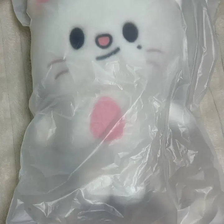 [BUNJANG] Genielet Backpack / 지니렛 백팩