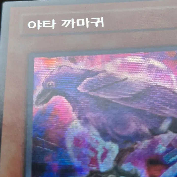 [BUNJANG] Yu-Gi-Oh! Yata-Garasu Secret Rare / 유희왕 야타 까마귀 시크