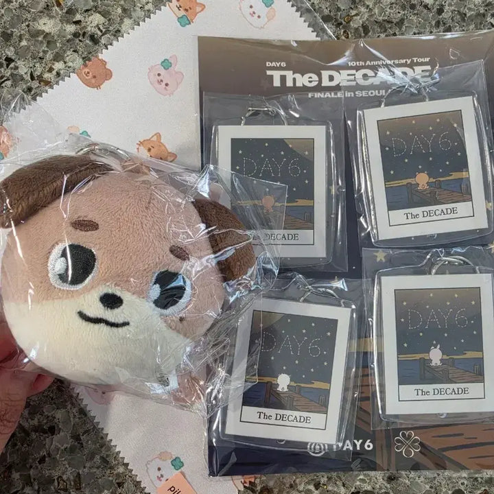 [BUNJANG] Day6 Japan MD Donkatsu Keychain / 데이식스 일본엠디 백참 돈