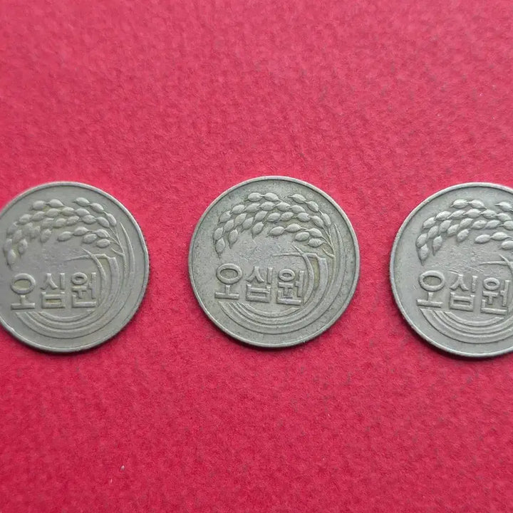 [BUNJANG] 1977 50 Won Used Coin (3-Piece Set) / 1977년 50원 사용제 주화  3개