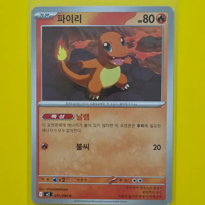 [BUNJANG] Charmander 3 Types Set / 포켓몬카드 파이리 3종 세트