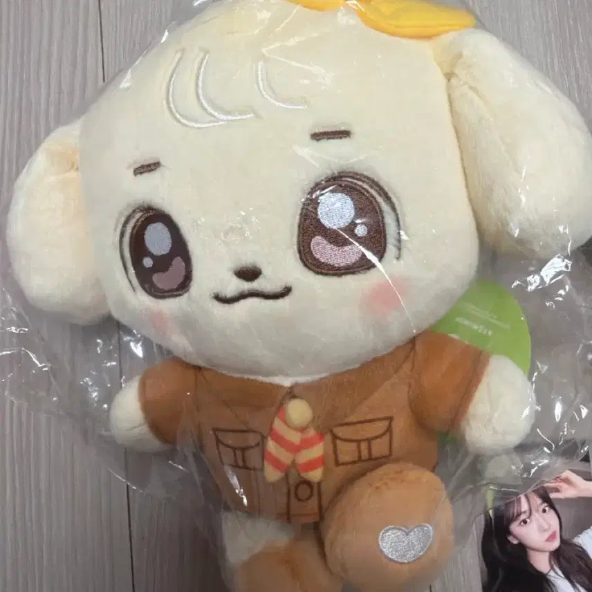 [BUNJANG] IVE Eujene Mini-B Everland Plush Doll Keychain Photocard / 아이브 미니브 에버랜드 유진 플러시, 인형키링, 7만원특전