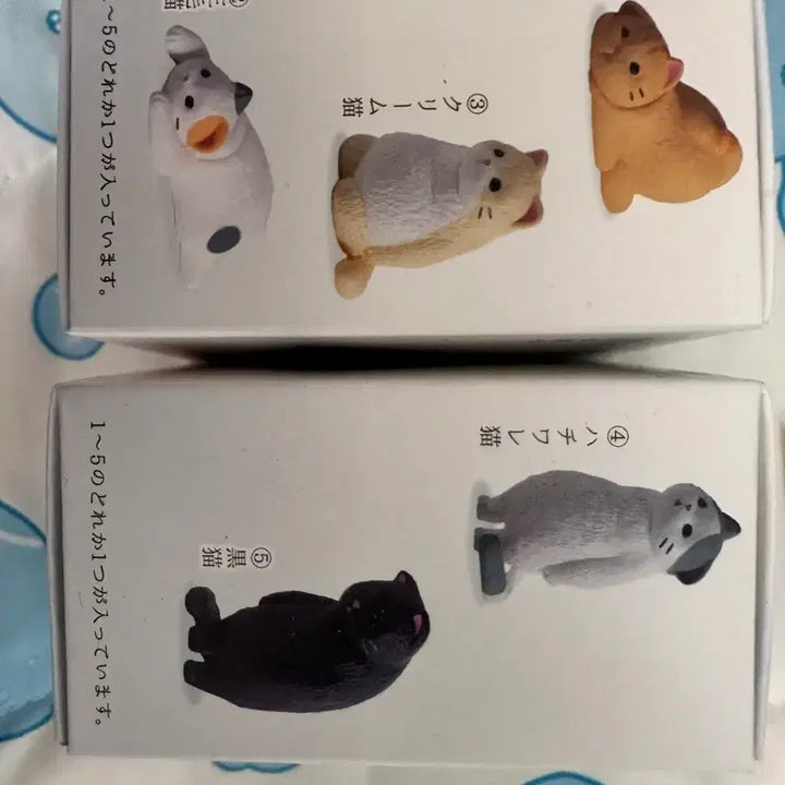 [BUNJANG] Unsealed Cat Figure 5 Types Set + Fox Figure / 3박스 !! 급처!! 미개봉 고양이 피규어 5종 세트,여우