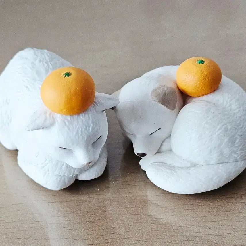 [BUNJANG] Mochinimal Orange Cat &amp; Dog Gacha Bundle Set / 모찌니멀 귤 고양이 강아지 가챠 일괄