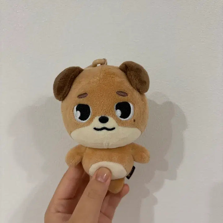 [BUNJANG] DAY6 Dowoon Doll 24 Don / 데이식스 도운 인형 24돈