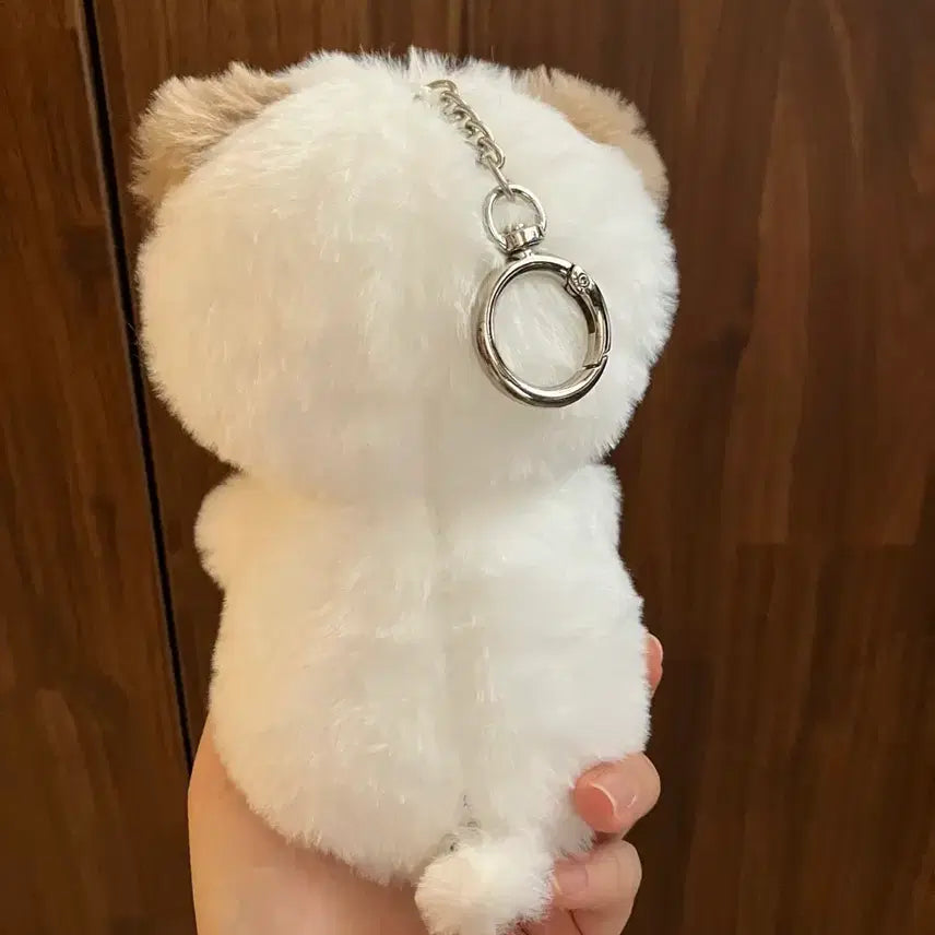 [BUNJANG] Petit Mallows Don Voice Version Photocard Holder / 쁘띠멀즈 돈 보이스버전