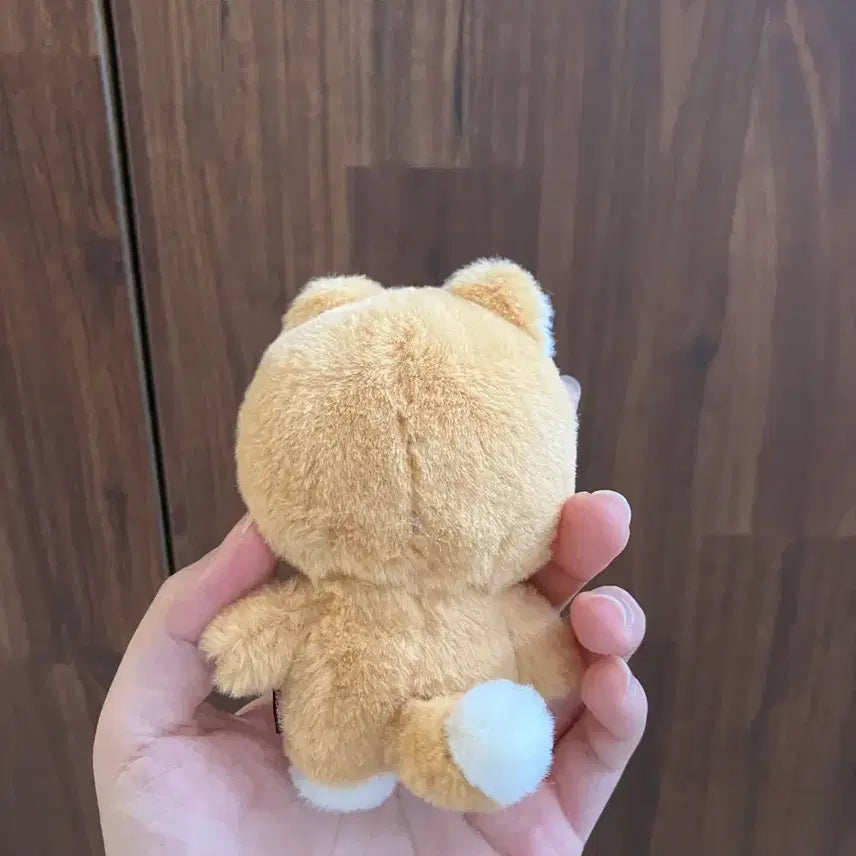 [BUNJANG] Petit Malz 10cm Version Doll / 쁘띠멀즈 케 10센치버전