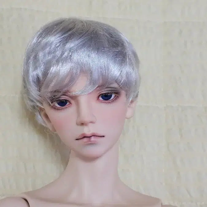 [BUNJANG] BJD Small SD Wig (8-9 inch) Short Cut / 구체관절인형 작은SD(8-9인치) 해외제 모가발 숏컷