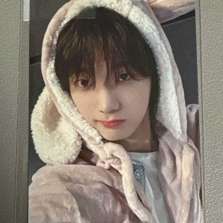 [BUNJANG] BOYNEXTDOOR Rabbit Hoodie Photocard / 보넥도