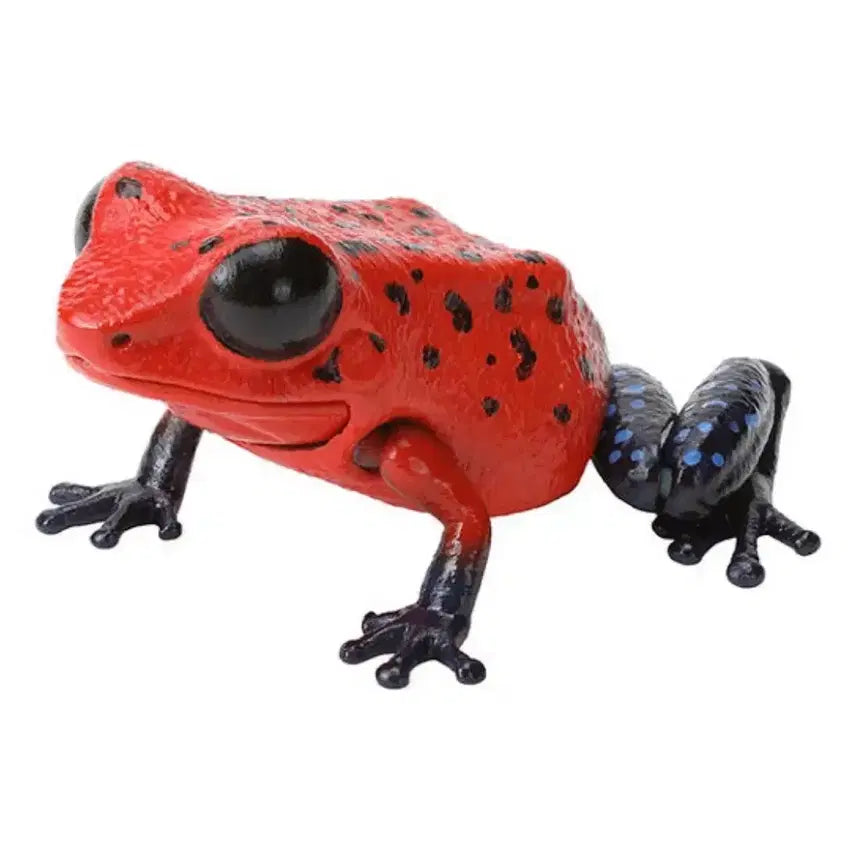 [BUNJANG] Bandai Poison Dart Frog Figure - Sealed / 반다이 생물도감 독화살개구리 미개봉