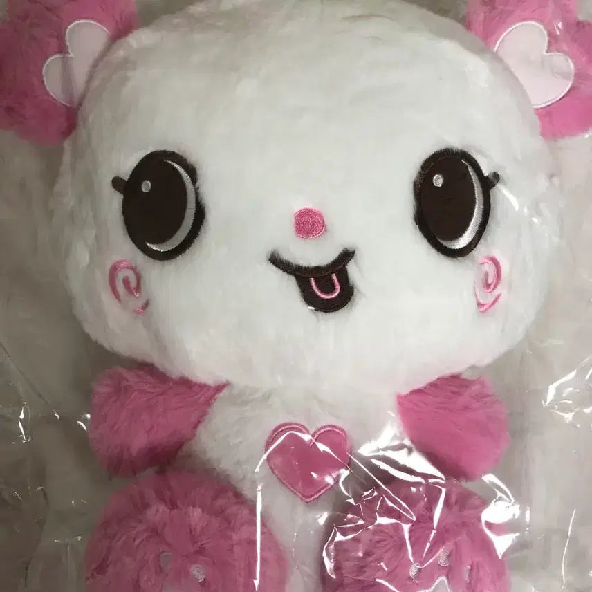 [BUNJANG] NCT WISH Wish Bakery Wish Doll Daewang Pangyi Sakuraya 30cm / 엔시티위시 위시베이커리 위시돌 대왕팡이 팡이 30cm 사쿠야 미개봉