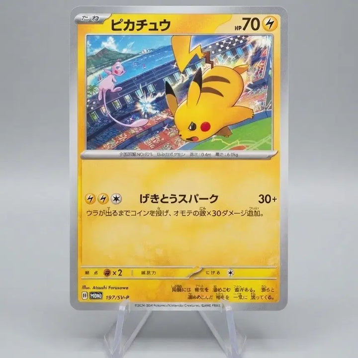 [BUNJANG] Pikachu Promo Scarlet &amp; Violet Japanese Edition / 피카츄 프로모 스칼렛바이올렛 일판