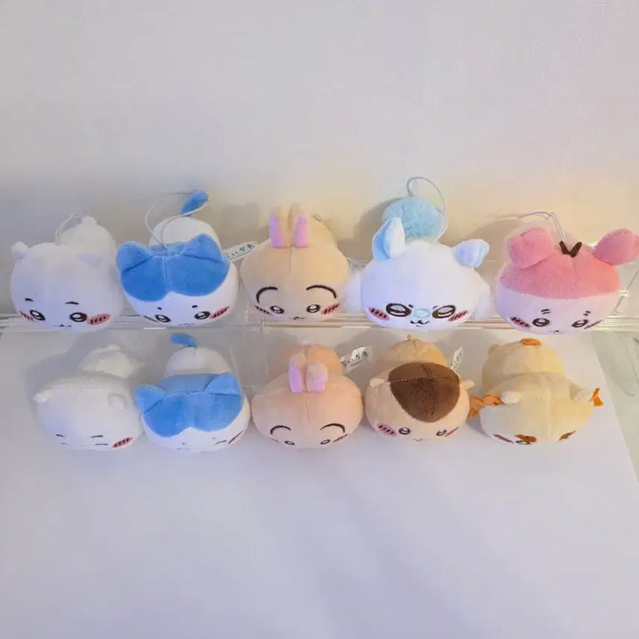 [BUNJANG] Chiikawa Sleeping Neso Nui Sleeping Plush Doll Set / 치이카와 엎드린 인형 네소베리 누이구루미 1, 2탄 10종 가챠