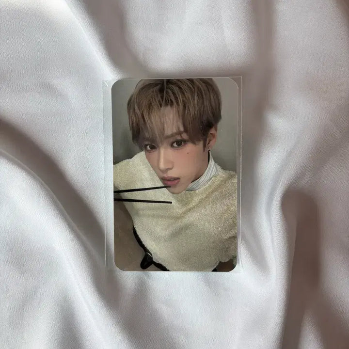 [BUNJANG] Arno Alphadriveone Ardn1st Photocard / 알디원 알파드라이브원 아르노 하이디라오 1차 포카 양도판매구매교환