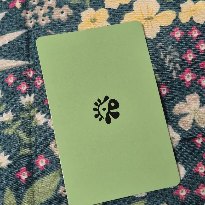 [BUNJANG] Cortis Ahn Geonho Photocard Red Version / 코르티스 안건호 cortis 포카 레드레드 그린그린 앨범 포토카드 앨포