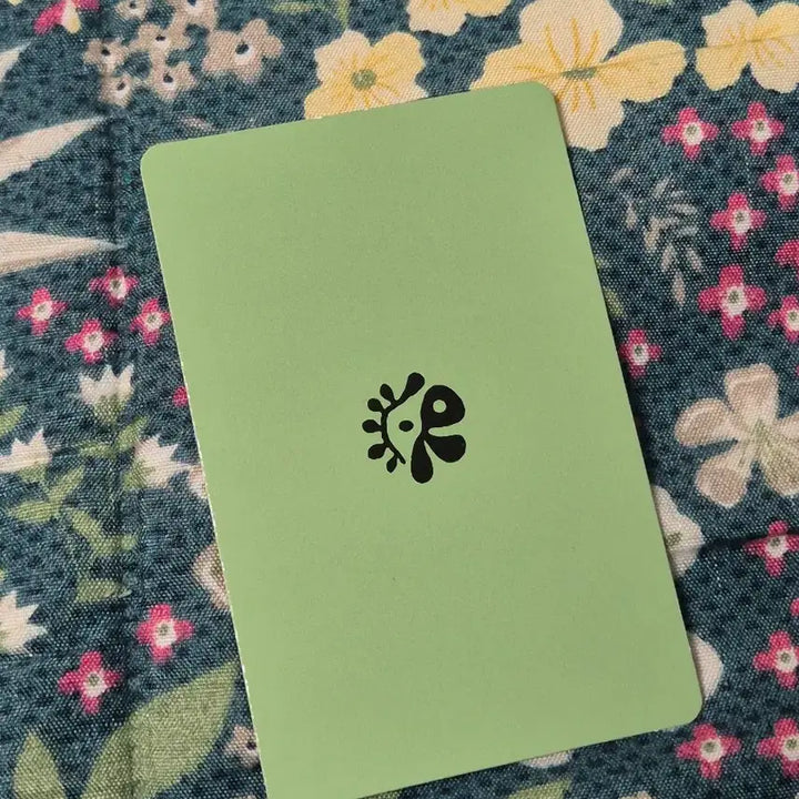 [BUNJANG] Cortis Ahn Geonho Photocard Red Version / 코르티스 안건호 cortis 포카 레드레드 그린그린 앨범 포토카드 앨포