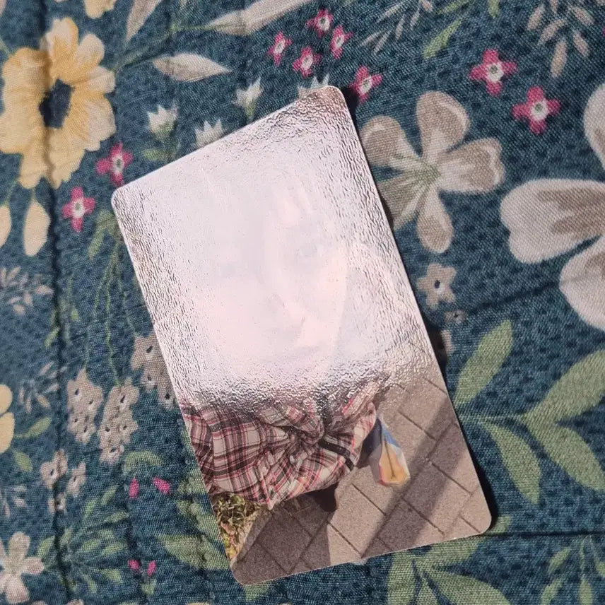 [BUNJANG] Cortis Ahn Geonho Photocard Red Version / 코르티스 안건호 cortis 포카 레드레드 그린그린 앨범 포토카드 앨포