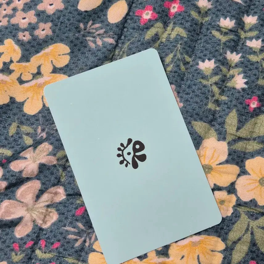 [BUNJANG] Cortis Kim Jihoon Photocard Red Red Green Green Album / 코르티스 김주훈 cortis 포카 레드레드 그린그린 앨범 포토카드 포카