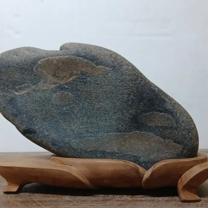 [BUNJANG] Namhangang Lepidodendron Pattern Stone / 수석 자연수석 이피문양석