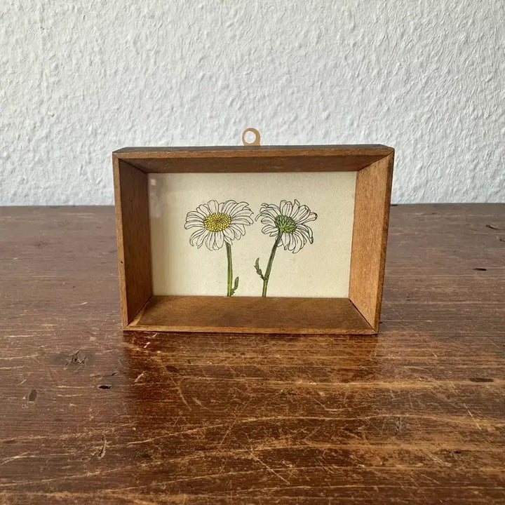 [BUNJANG] German Vintage Daisy Shadow Box Frame / 독일)빈티지 미니 데이지 액자