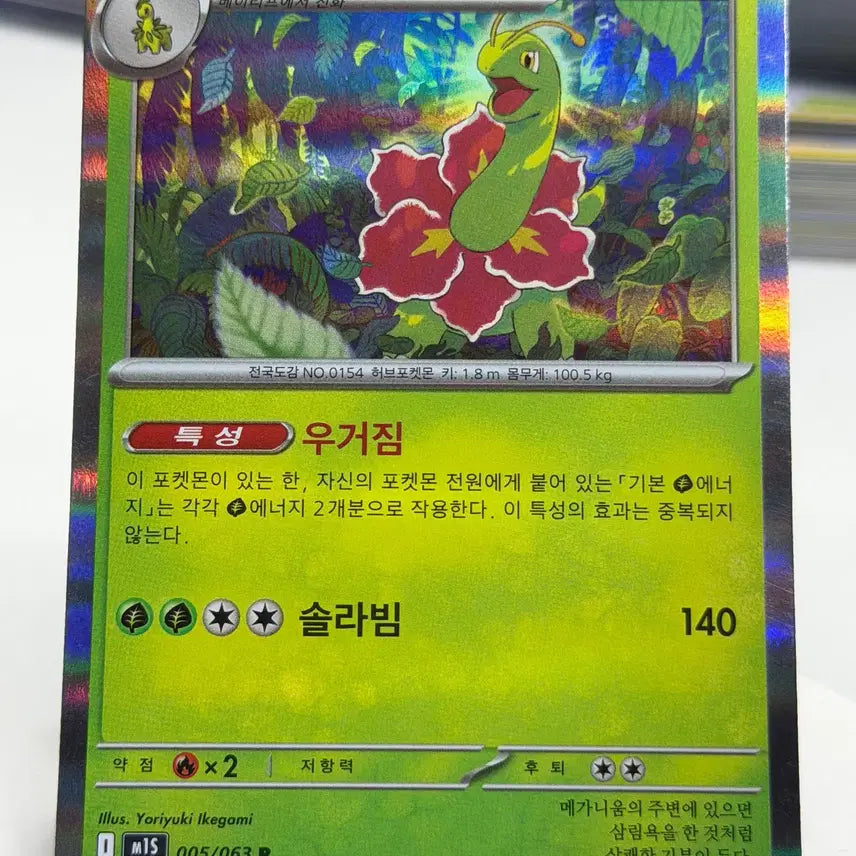 [BUNJANG] Meganium M1S 005/063 R / 메가니움 m1s 005/063 R (500)원