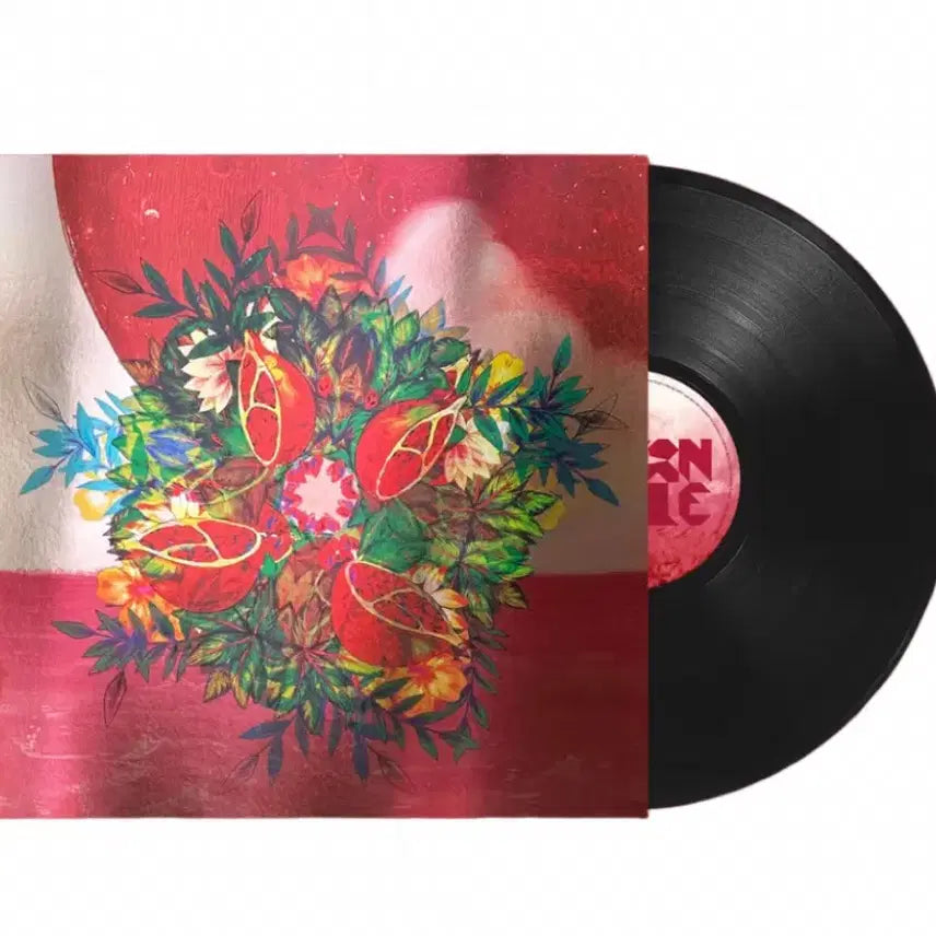 [BUNJANG] So: Apple "Seoul Bottle" 10th Anniversary LP Bundle Set / (2종 일괄) 쏜애플 서울병 10주년 LP 택포 12.5