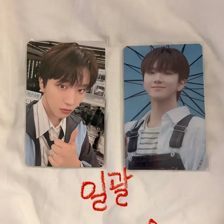 [BUNJANG] BOYNEXTDOOR Woonhak Japan Album Photocard / 보이넥스트도어 운학 일본앨범 포카