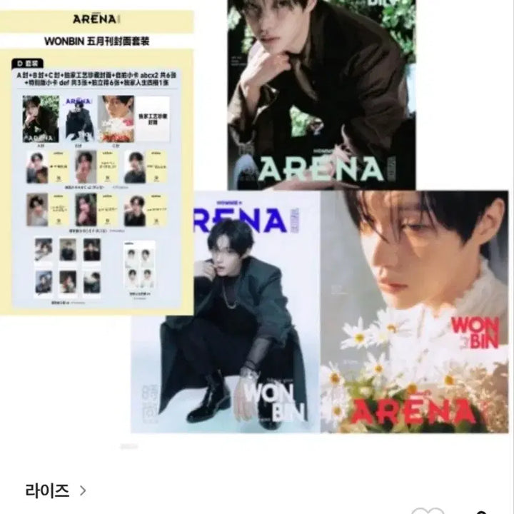 [BUNJANG] Arena Wonbin Homme Plus Full Set / [마지막set]아레나 원빈 풀세트(냥발삔 포함)