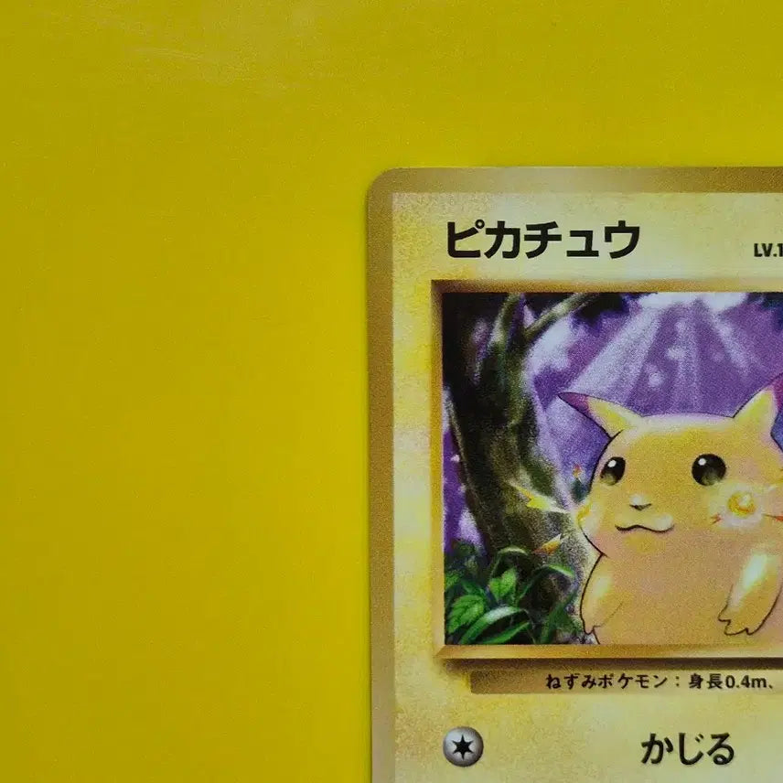 [BUNJANG] Pokemon Card Pikachu 1st Edition Japanese Version 1996 / 포켓몬카드 1996 큰 피카츄 초판 일판 일본판 11
