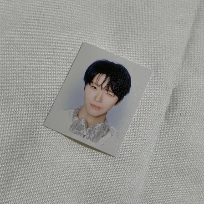 [BUNJANG] NCT WISH Jaehee Doyoung Proof Photo / 엔시티위시 재희 대영 증명사진