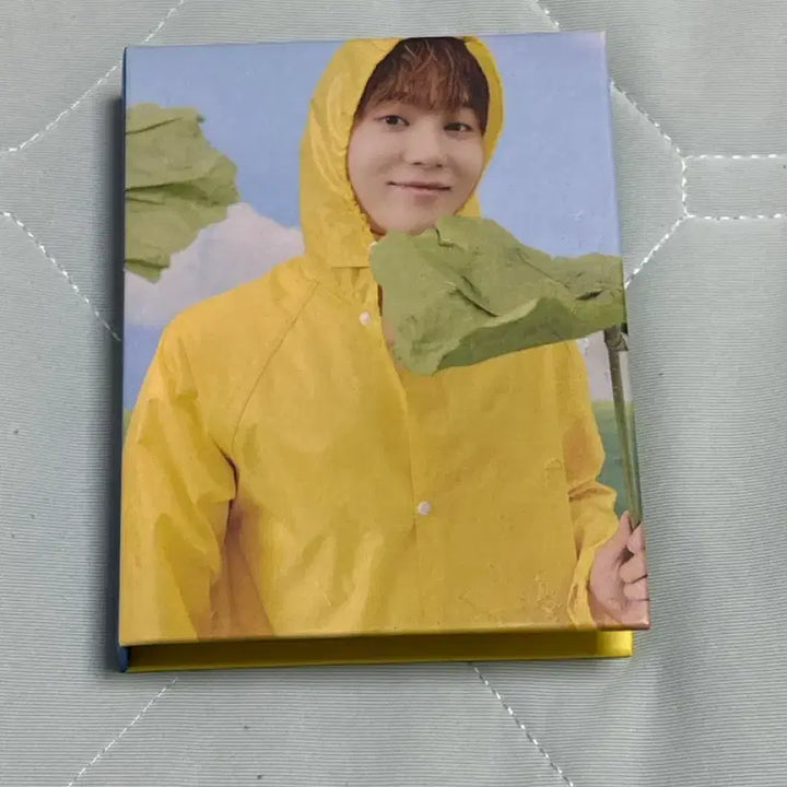 [BUNJANG] Seungkwan Photocard and Card Book / 부승관 카드와 콜북 판매합니다