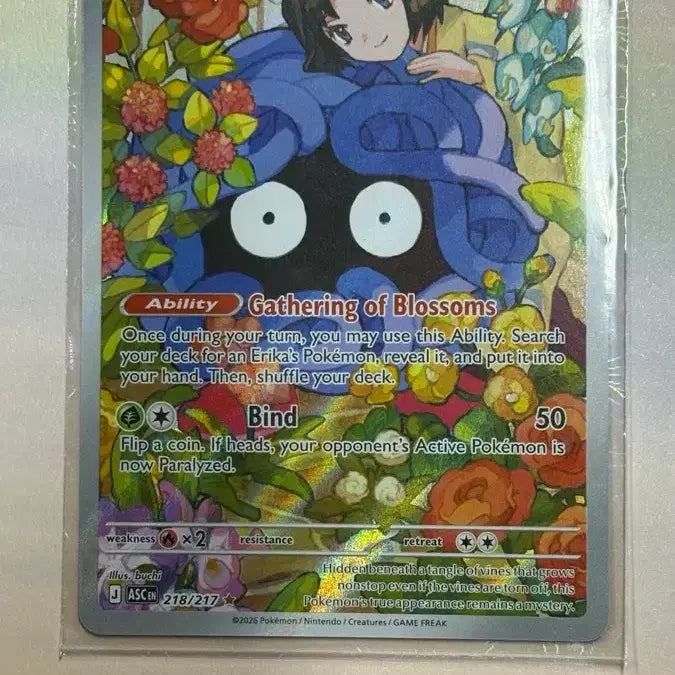 [BUNJANG] Pokemon Card Dongkuri AR / [북미] 포켓몬 카드 민화의 덩쿠리 AR