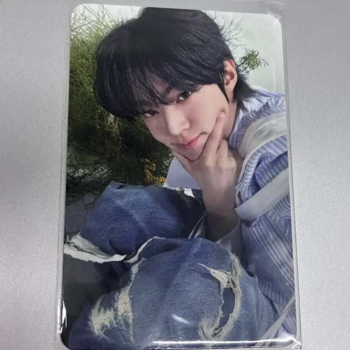 [BUNJANG] Dohun Photocard / 도훈 포토카드