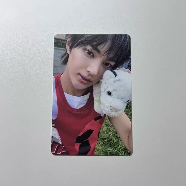 [BUNJANG] VERIVERY Yongseung Color Outside The Lines Weverse Album Photocard / 코르티스 위버스 앨범 포카 건호