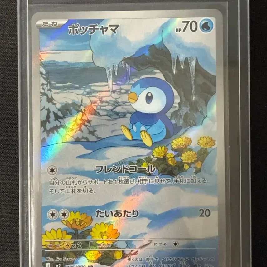 [BUNJANG] Torchic AR Japanese Version / 인페르노 팽도리 ar 일판