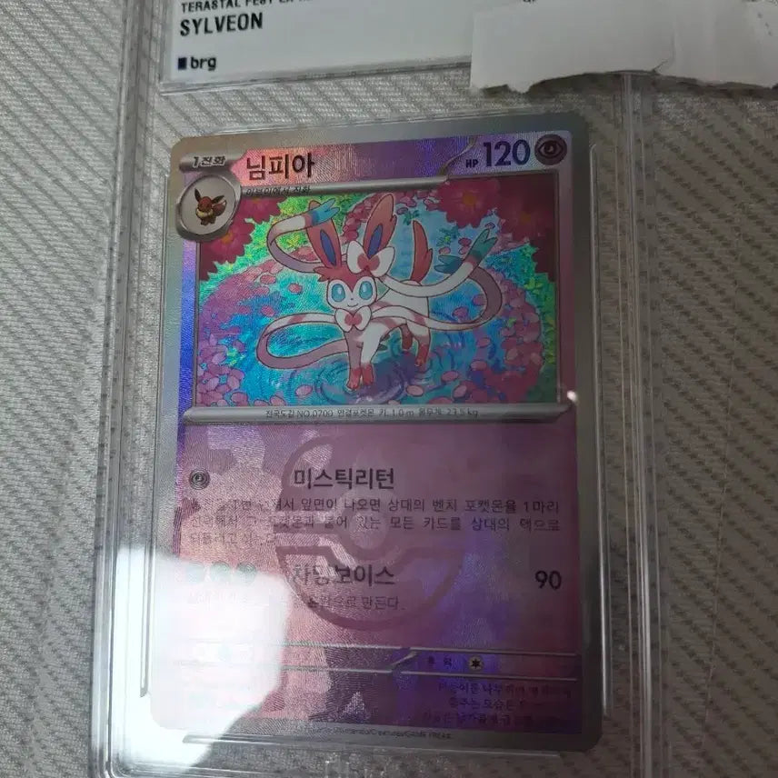 [BUNJANG] Pokemon Card S&amp;V 
