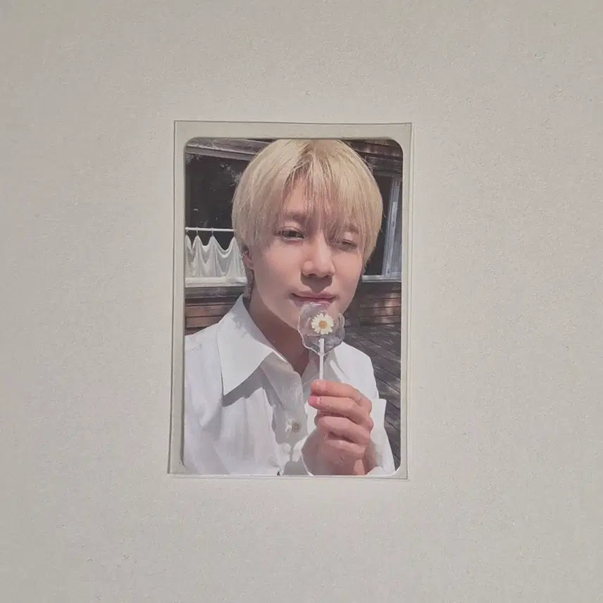 [BUNJANG] SHINee 15th Anniversary Popup Taemin Ring Photocard / 샤이니 15주년 팝업 태민 반지 포카 양도