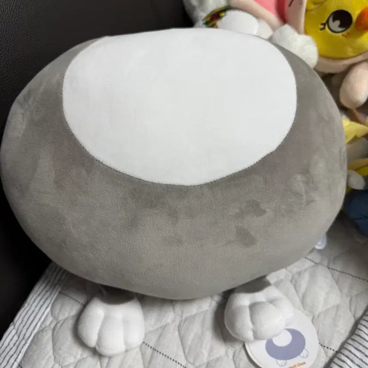 [BUNJANG] Wolfchan Cushion Bundle Set / 울프찬 쿠션 일괄 판매