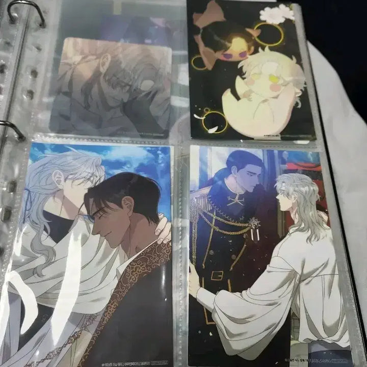 [BUNJANG] Osahyeong Smyrna &amp; Capri Mofun Colca Binder Photo Set / 오사형 스미르나 앤 카프리 모펀 콜카 바인더 인화사진 엽서  포스터