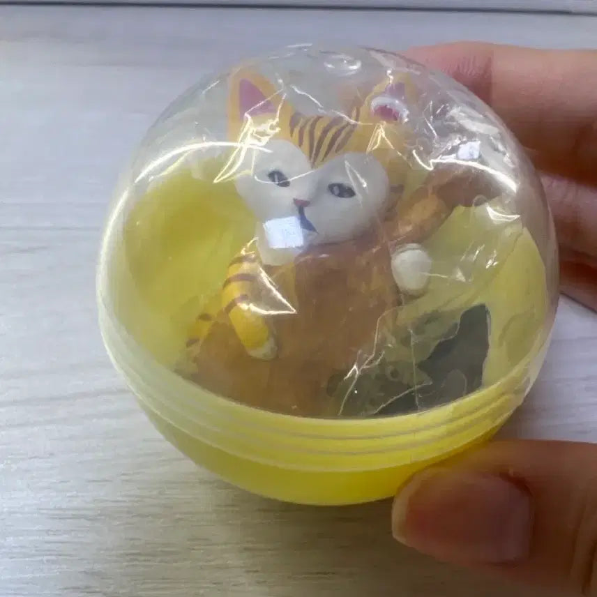 [BUNJANG] Orchestra Cat Figure / 오케스트라 고양이 피규어