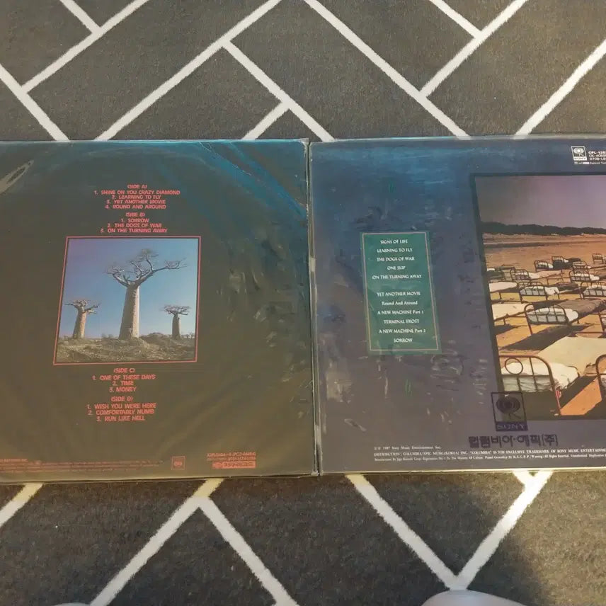 [BUNJANG] Pink Floyd Delicate Sound of Thunder &amp; A Momentary Lapse of Reason (LP) Bundle / 핑크플로이드 앨범(LP,레코드판) 2개 판매합니다.
