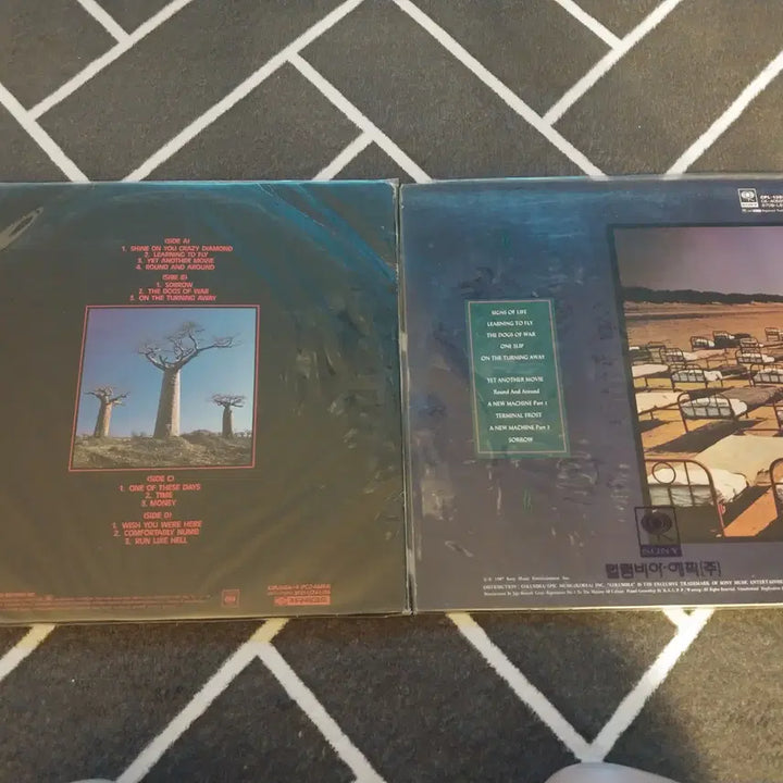[BUNJANG] Pink Floyd Delicate Sound of Thunder &amp; A Momentary Lapse of Reason (LP) Bundle / 핑크플로이드 앨범(LP,레코드판) 2개 판매합니다.