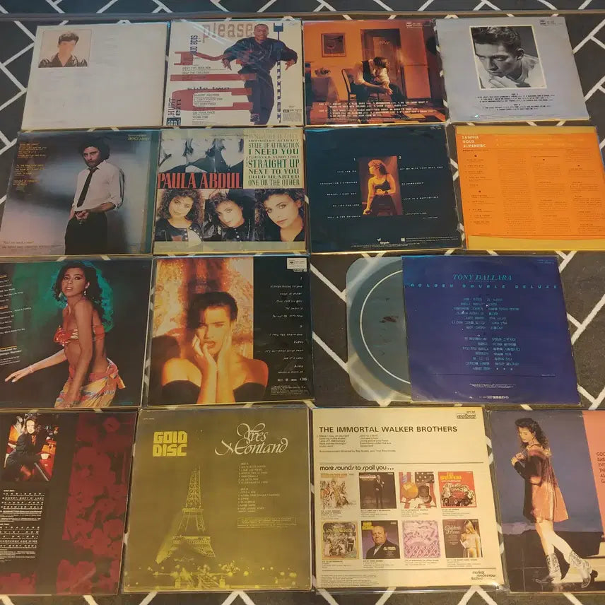 [BUNJANG] Glenn Medeiros, J.T. Taylor, Harry Connick Jr., Paula Abdul, Pat Benatar, Milva, Irene Cara, Martika, Tony Dallara, Viktor Lazlo, Yves Montand, The Walker Brothers, Amy Grant LP Records Collection (16 Records) / 팝 LP레코드판 16장-14 판매합니다.
