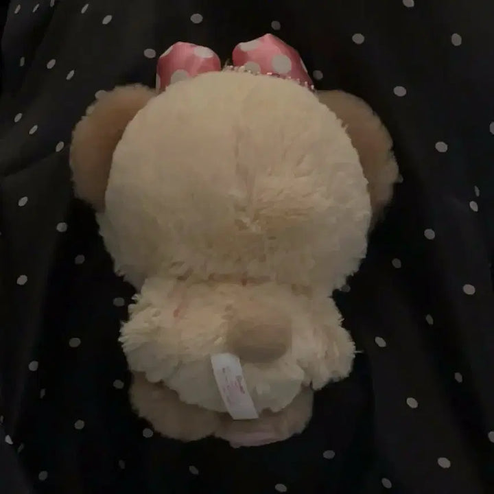 [BUNJANG] Cute Bear Plush Toy with Pink Polka Dot Ribbon / ....,, 이름모에요얘모르겠는데귀여움 웅웅..<3