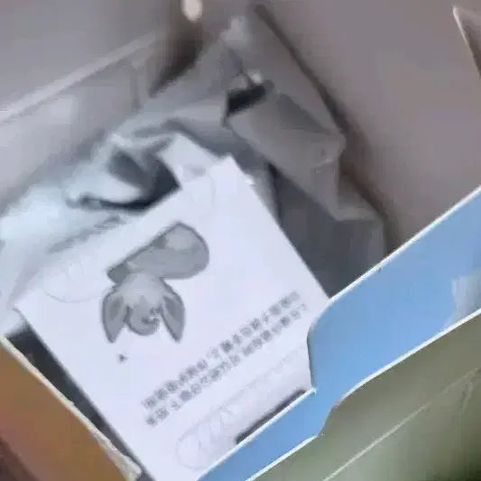 [BUNJANG] Hollys 2022 Eevee&