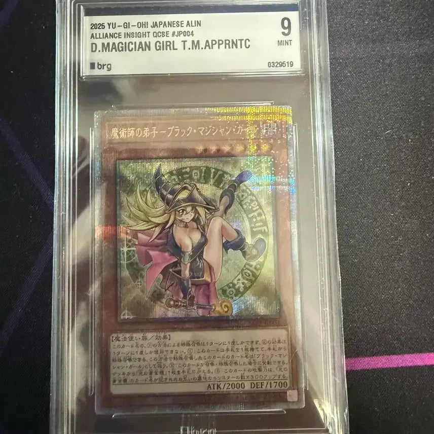 [BUNJANG] Black Magician Girl Disciple QCS BRG9 Japanese Edition Card / 블랙매지션걸 - 마술사의 제자 일판 QCS BRG9 판매합니다