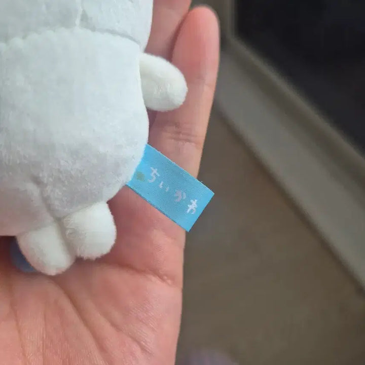 [BUNJANG] Hachitore Aquarium Squid Plush / 하치와레 수족관 오징어 인형 정품