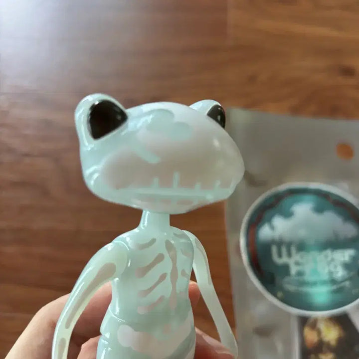 [BUNJANG] Wanda Frog Lloyd Bone / 완다프로그 로이드 본