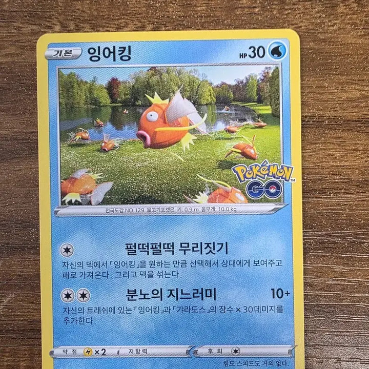 [BUNJANG] Pokemon Go Magikarp Trading Card / 포켓몬카드 포켓몬고 잉어킹