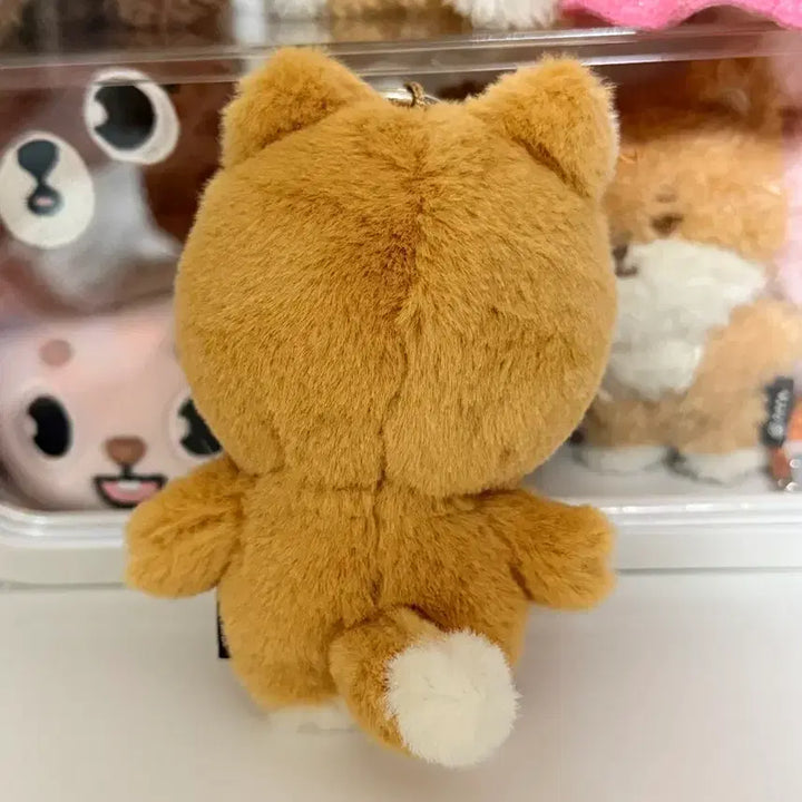 [BUNJANG] Petite K 10cm Plush / 쁘띠케 10cm (기타가차 증정)